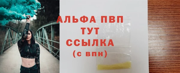 индика Надым