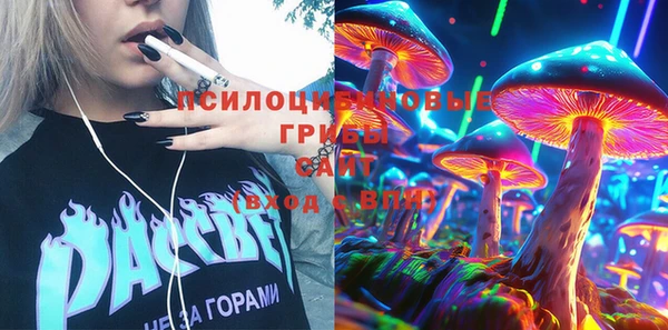 apvp Михайловск