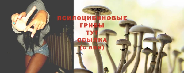 крисы Белая Калитва