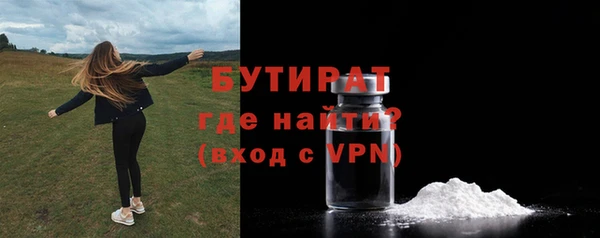 индика Надым