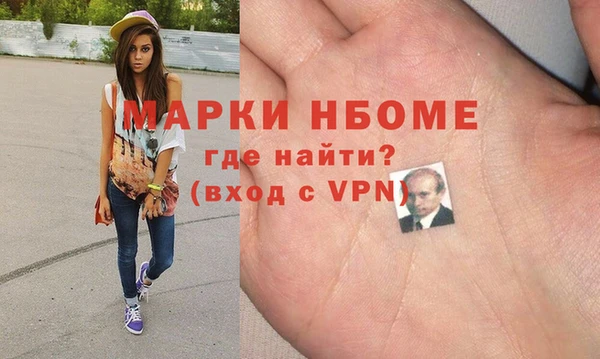 индика Надым