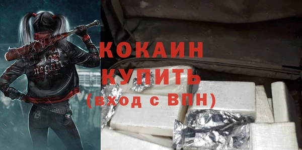 индика Надым