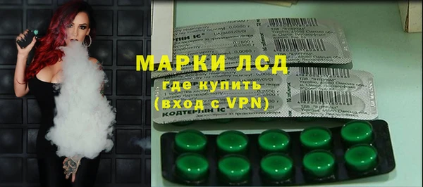 индика Надым