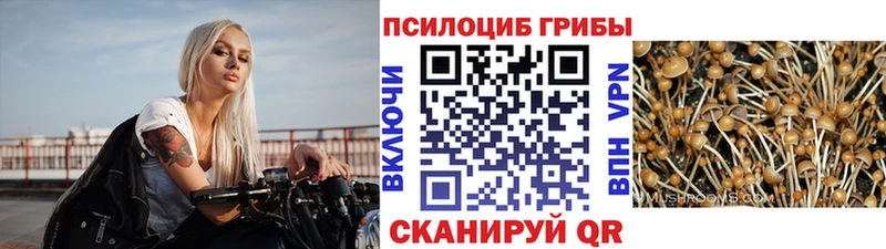 Псилоцибиновые грибы мухоморы Иноземцево