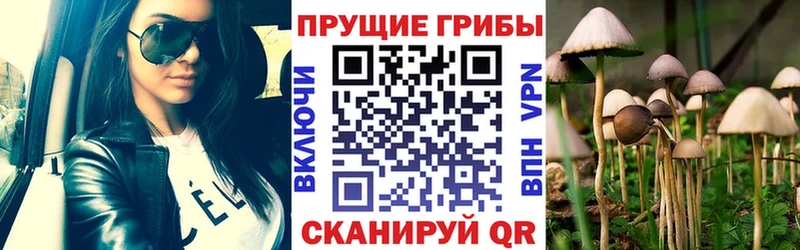 kraken   где купить наркотик  Иноземцево  Галлюциногенные грибы Magic Shrooms 